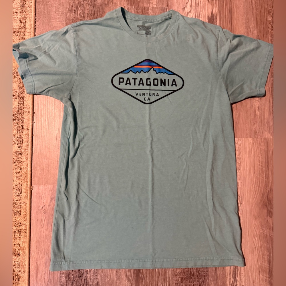 Patagonia light blue Short Sleeve Logo Tee slim fit